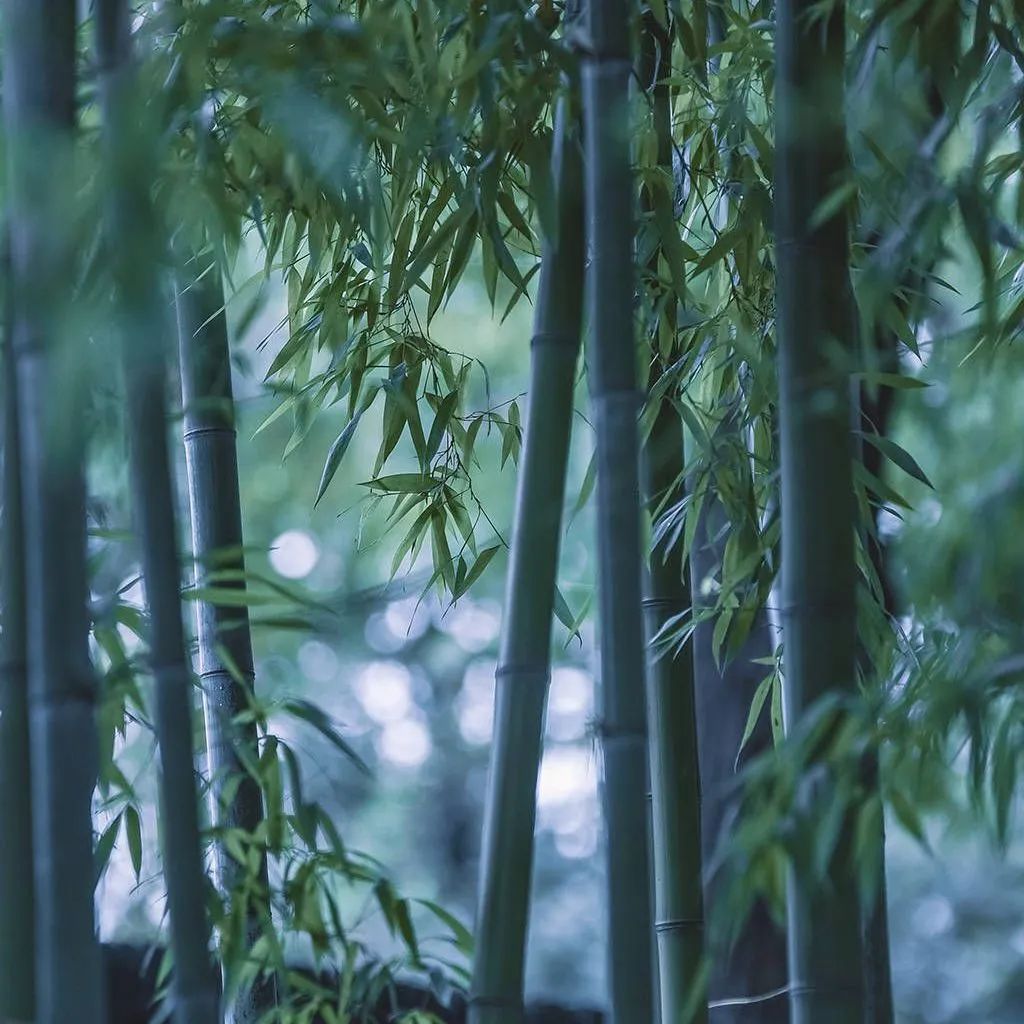 質感•原生石係列 | 1200×1800mm密縫連紋，開創無限世界(圖19)